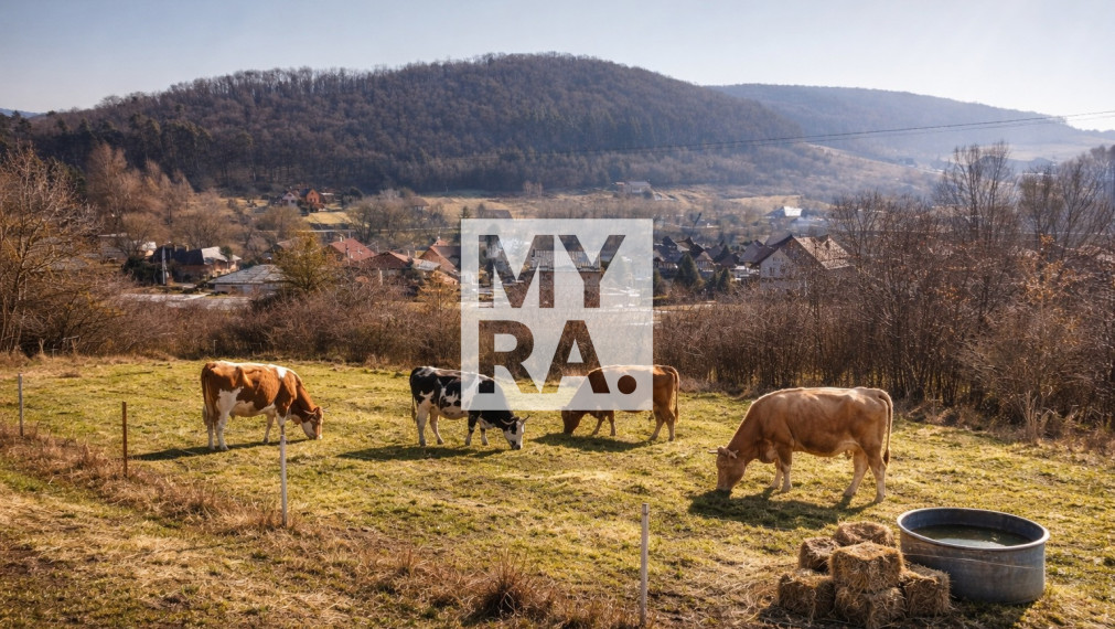 Na predaj pozemok - Veľký Šariš 1367 m2